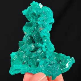 Large Dioptase