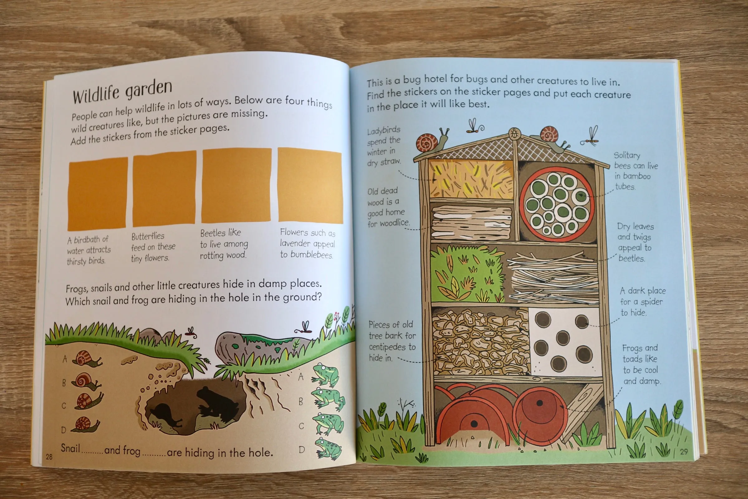 Nature Activity Book