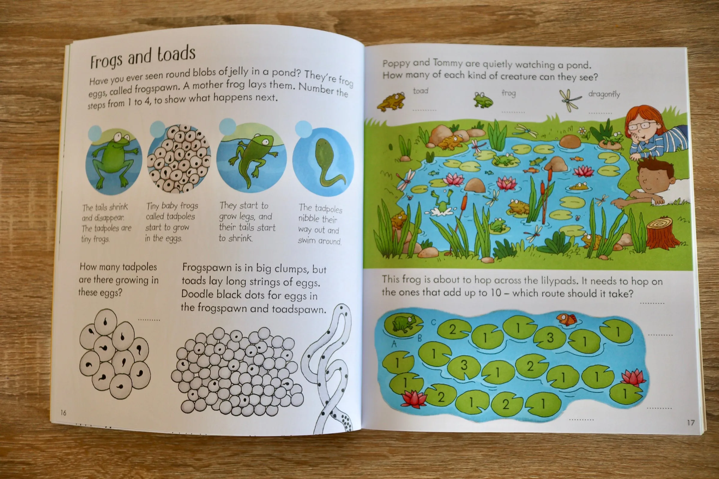 Nature Activity Book